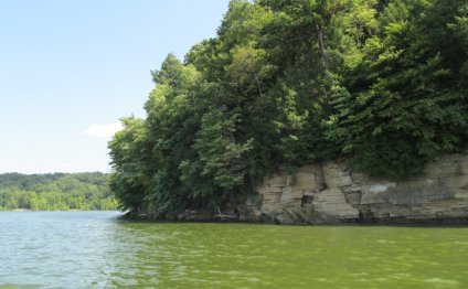 Pleasant Hill Lake Fishing Report