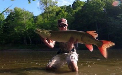Steelhead fishing reports Ohio