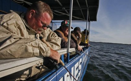 Walleye Regulations