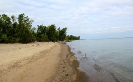 Beaches in Erie