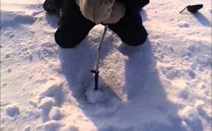 Lake Erie ice fishing Guides