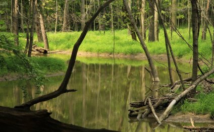 Lake Metroparks