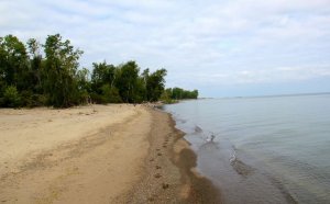 Beaches in Erie