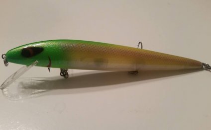 Fall Walleye fishing Lake Erie